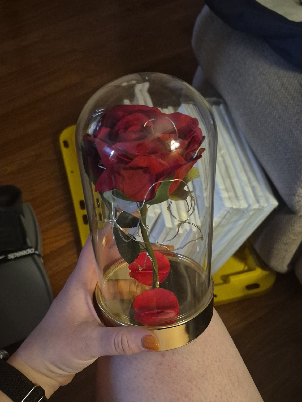 Beauty And The Beast Glass Dome Rose Display